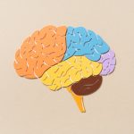 Otak Lebih Sehat dengan 10 Tips Perawatan yang Mudah Dilakukan