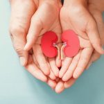 5 Mengapa Penting Memperhatikan Kesehatan Ginjal?