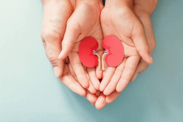 5 Mengapa Penting Memperhatikan Kesehatan Ginjal? 5 Mengapa Penting Memperhatikan Kesehatan Ginjal?