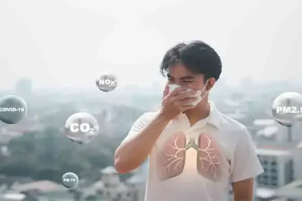 5 Cara Alami untuk Membersihkan Paru-paru dari Polusi Udara