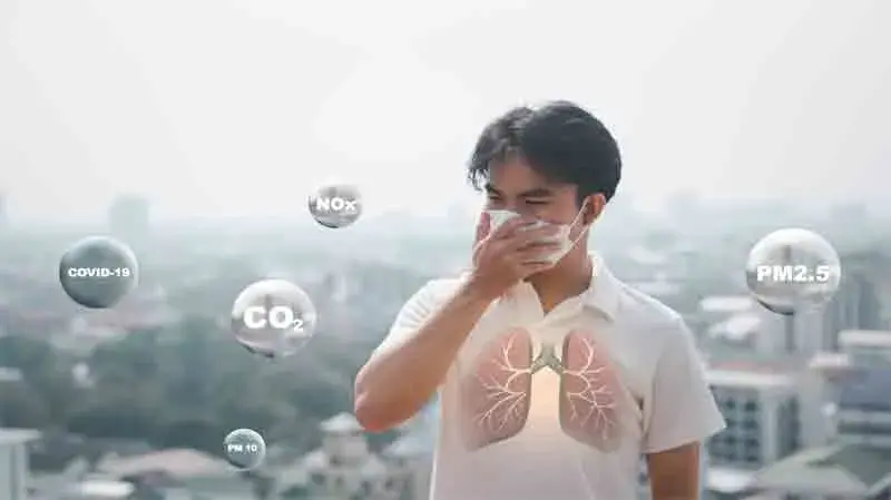 5 Cara Alami untuk Membersihkan Paru-paru dari Polusi Udara